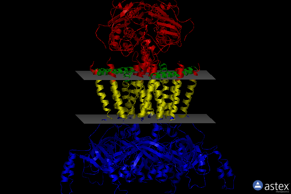 Membrane view of 7d08