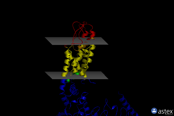 Membrane view of 7d2k