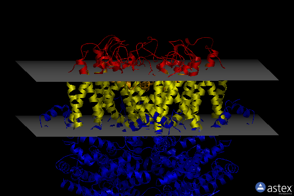 Membrane view of 7d4q