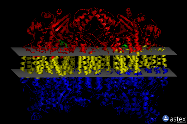 Membrane view of 7d5w
