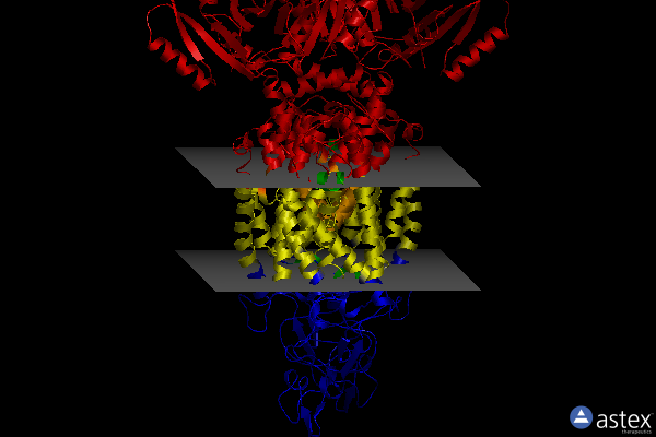 Membrane view of 7d8z