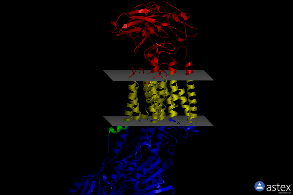 Membrane view of 7d91