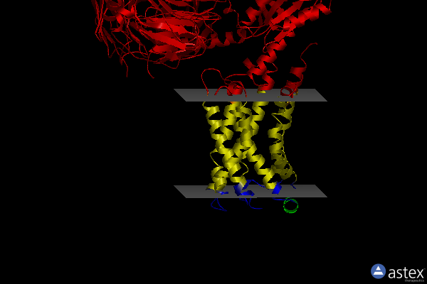 Membrane view of 7db6