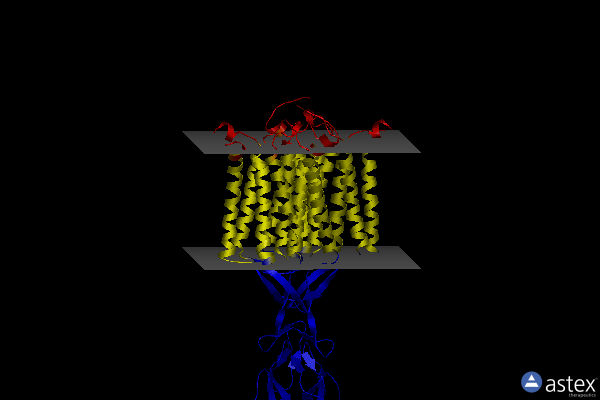 Membrane view of 7dd6