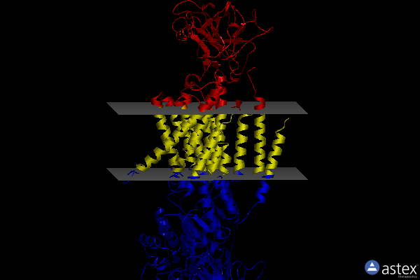 Membrane view of 7ddf