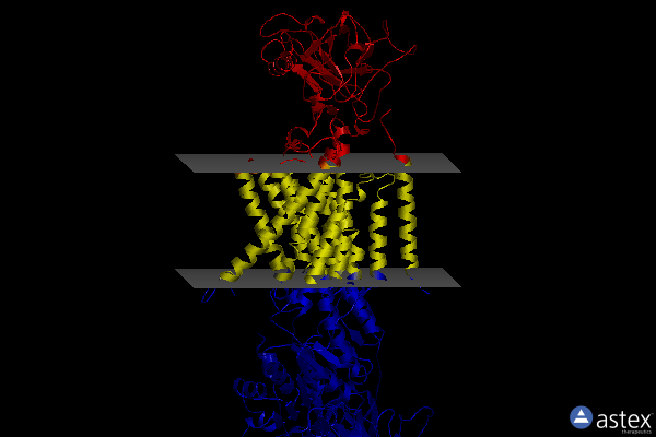Membrane view of 7ddh