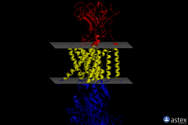 Membrane view of 7ddl