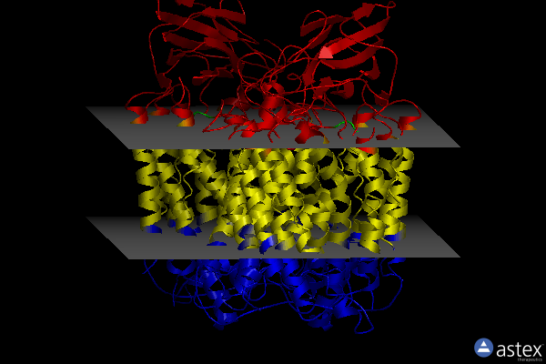 Membrane view of 7deg