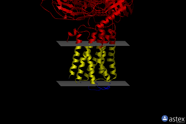 Membrane view of 7dfl
