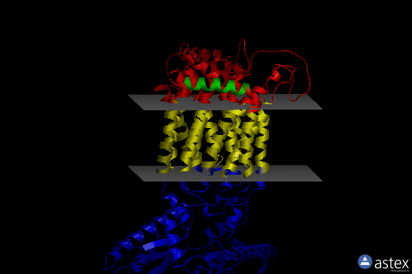 Membrane view of 7dfw