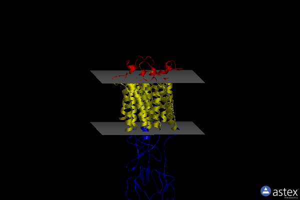 Membrane view of 7dge