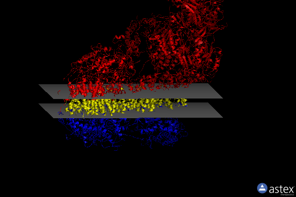 Membrane view of 7dh0