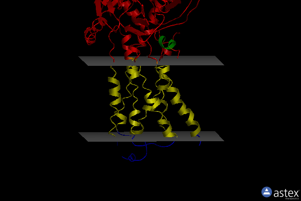 Membrane view of 7dhr