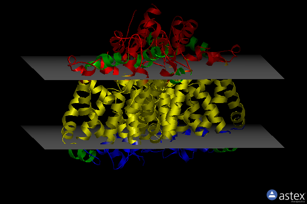 Membrane view of 7dix