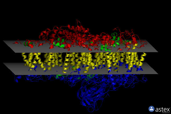 Membrane view of 7dkz
