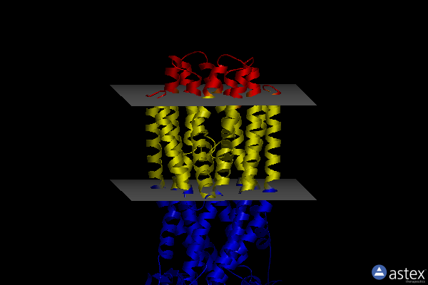 Membrane view of 7dny