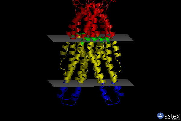 Membrane view of 7dqv