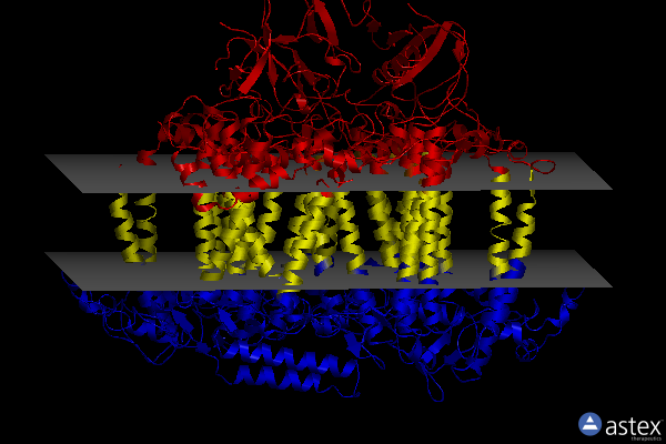 Membrane view of 7dr1