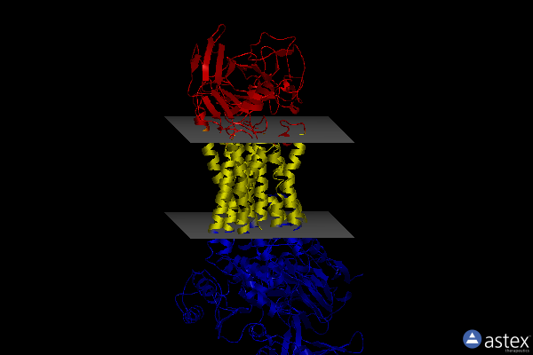 Membrane view of 7drx