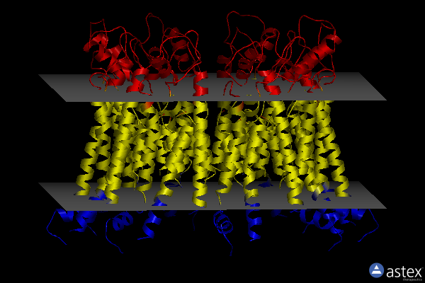 Membrane view of 7dsc