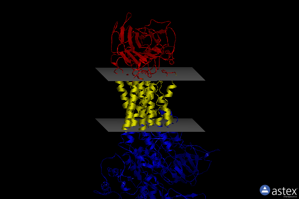 Membrane view of 7dsh