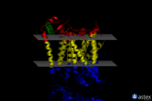 Membrane view of 7dsl