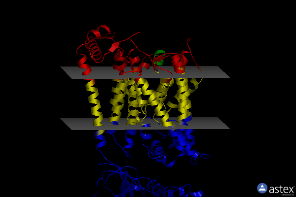 Membrane view of 7dsn