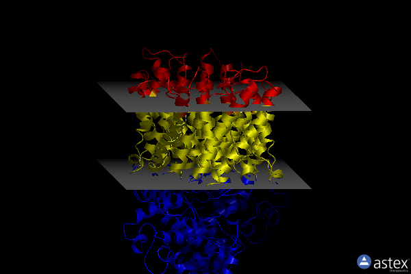 Membrane view of 7dsv