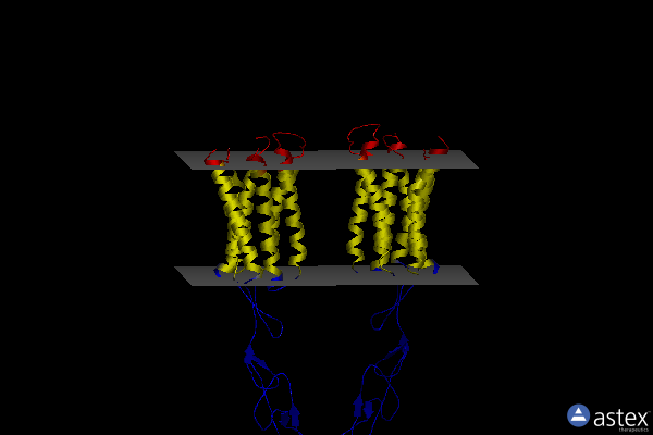 Membrane view of 7dtu
