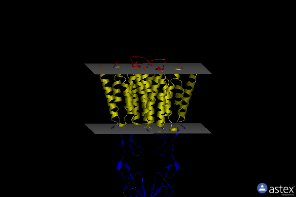 Membrane view of 7dtv