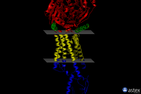 Membrane view of 7dur