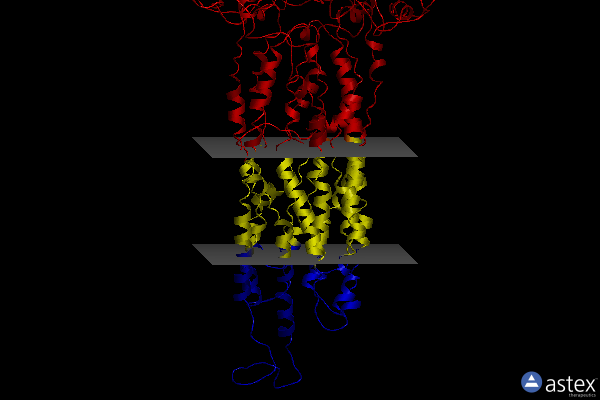 Membrane view of 7dv5