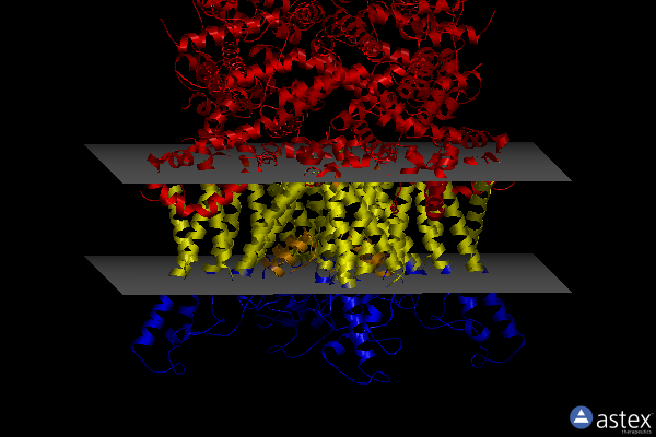 Membrane view of 7dxe