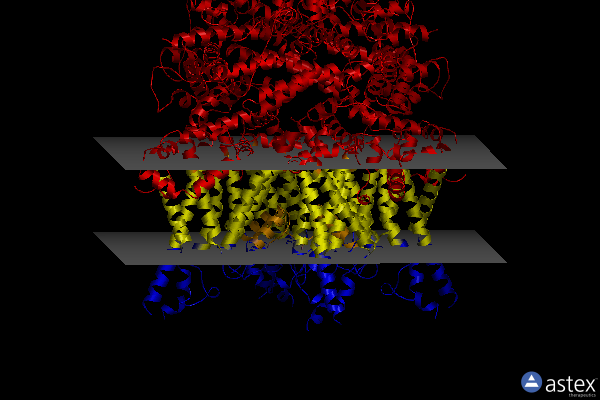 Membrane view of 7dxg