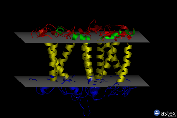 Membrane view of 7e0j