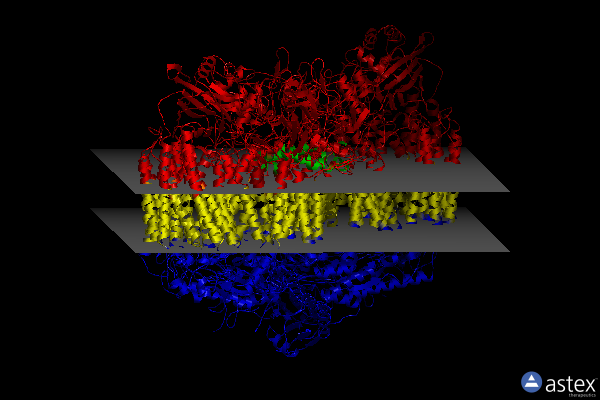 Membrane view of 7e1x