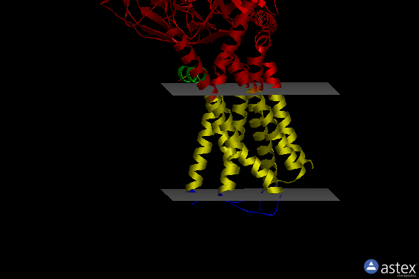 Membrane view of 7e2y