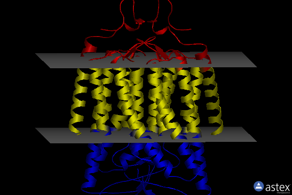 Membrane view of 7e6y