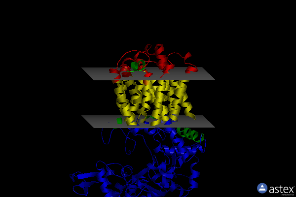 Membrane view of 7e9s