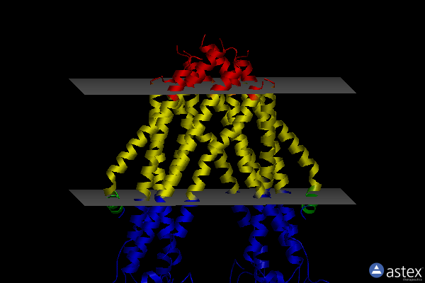 Membrane view of 7ehl