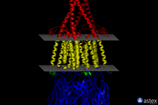 Membrane view of 7ekt