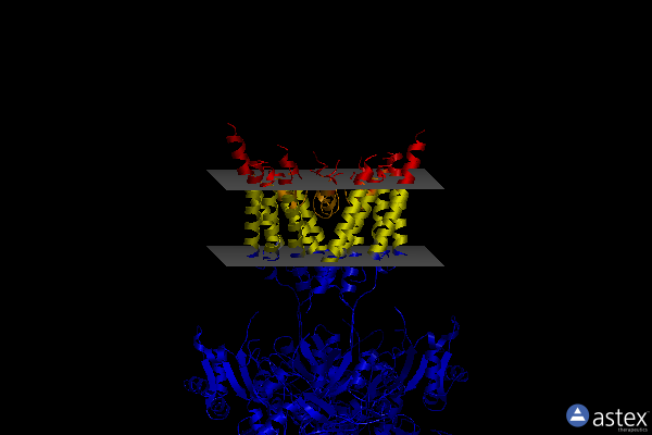 Membrane view of 7eos