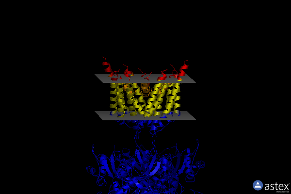 Membrane view of 7eot