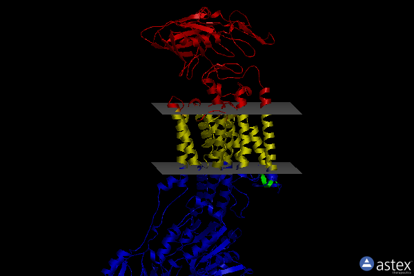 Membrane view of 7et1