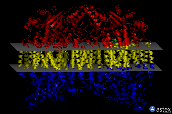 Membrane view of 7ev7