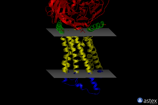 Membrane view of 7evm