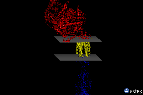 Membrane view of 7ewr