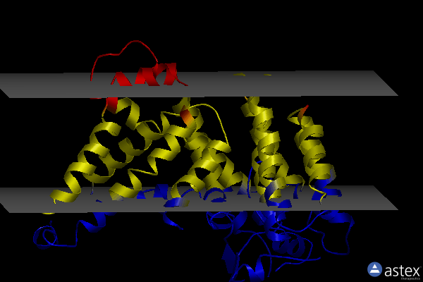 Membrane view of 7ewt