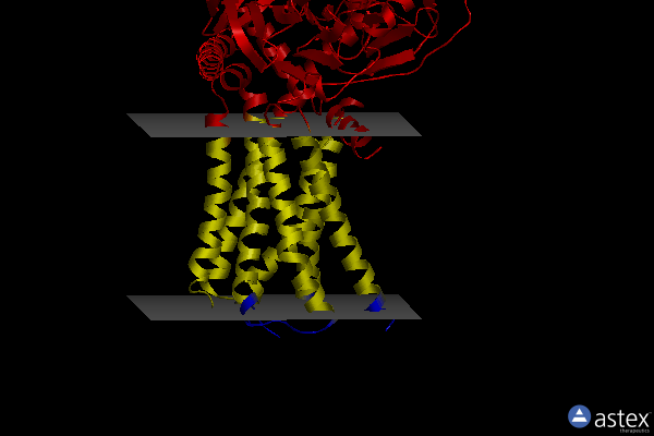 Membrane view of 7f23