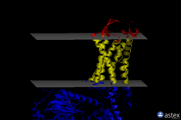 Membrane view of 7f6i